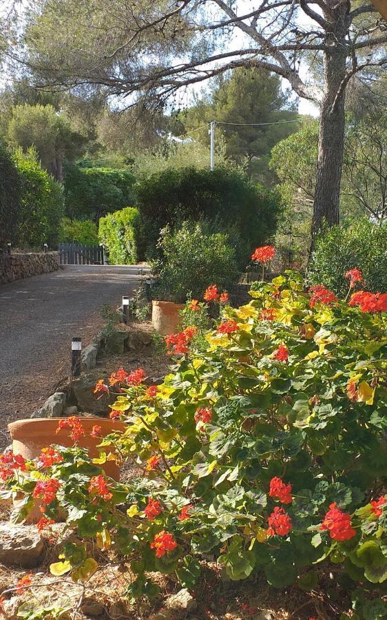 Villa Mediterranea Les Issambres Exteriör bild
