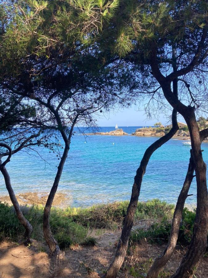 Villa Mediterranea Les Issambres Exteriör bild